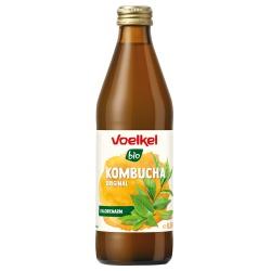 Kombucha MEHRWEG Pfand 0,25  Kombucha getränk