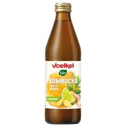 Kombucha mit Limette & Ingwer MEHRWEG Pfand 0,25  Kombucha getränk