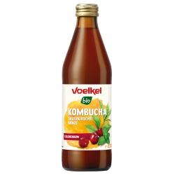 Kombucha mit Sauerkirsche & Minze MEHRWEG Pfand 0,25  Kombucha getränk