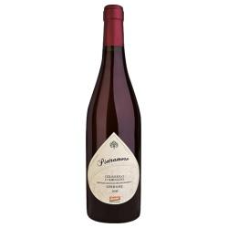 Cerasuolo dAbruzzo Superiore Pietramore DOP 2015 (Auslaufartikel) Wein aus Italien bio-wein