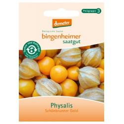 Physalis Schönbrunner Gold Saatgut: Gemüse & Obst gold