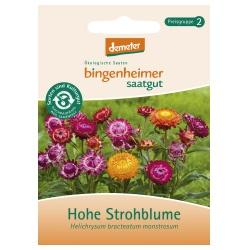 Hohe Strohblume Saatgut: Blumen hohe