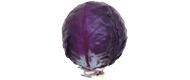 Rotkohl (1 kg) Gemüse bio-gemüse