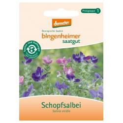 Schopfsalbei Saatgut: Blumen saaten