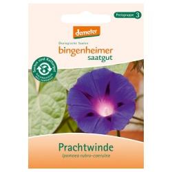 Prachtwinde Saatgut: Blumen prachtwinde