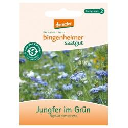 Jungfer im Grün Saatgut: Blumen grün