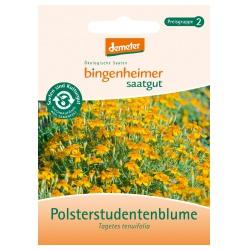 Polsterstudentenblume Saatgut: Blumen polster-studenten-blume