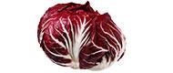 Radicchio (1 kg) Obst bio-gemüse