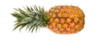 Ananas Extra Sweet Obst ananas