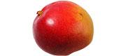 Mangos Kent Obst bio-obst