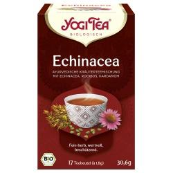 Echinacea-Tee im Beutel Ayurvedischer Tee ayurvedisch