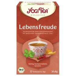 Lebensfreude-Tee im Beutel Ayurvedischer Tee ayurveda-tee