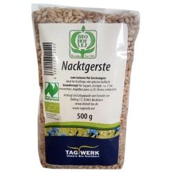 Nacktgerste aus Bayern Getreide aus