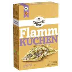 Flammkuchen-Backmischung, glutenfrei Backmischungen back-mischung