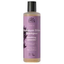 Glanz-Shampoo mit Lavendel Haarpflege glanz-shampoo