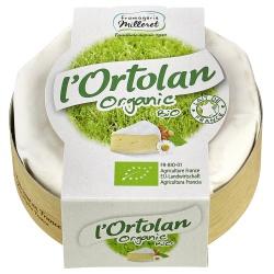 lOrtolan Weichkäse käse