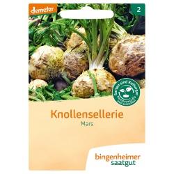 Knollensellerie Mars Saatgut: Gemüse & Obst knollensellerie