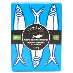 Kleine Sardinen, naturell Fischkonserven fisch-büchse