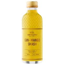 Gin & Mango Smash Aperitif aperitif