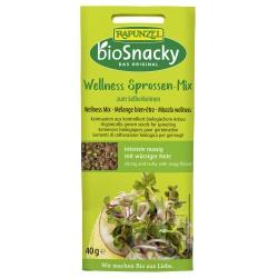 Wellness-Mischung Keimsaaten bio-snacky