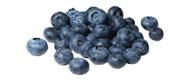 Blaubeeren Obst bio-obst