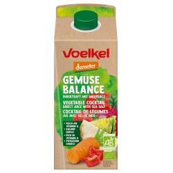 Gemüse-Balance-Saft Gemüsesäfte gemüse-balance-saft