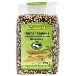 Quinoa, bunt Getreide bunt