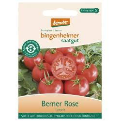 Tomaten Berner Rose Saatgut: Gemüse & Obst berner