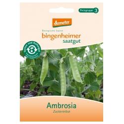 Zuckererbsen Ambrosia Saatgut: Gemüse & Obst ambrosia