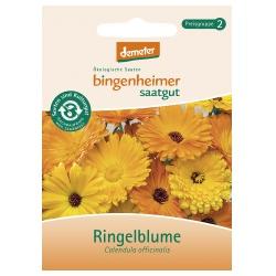 Ringelblume Saatgut: Blumen blume