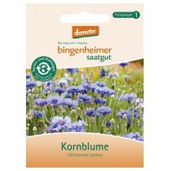 Kornblume Saatgut: Blumen blume