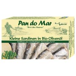 Kleine Sardinen in Olivenöl Fischkonserven fisch