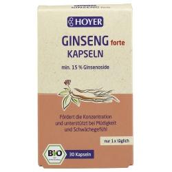 Ginseng-Kapseln Nahrungsergänzung ginseng-kapseln