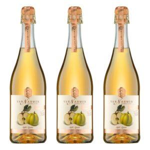 Frucht-Secco Apfel-Quitte, 3er-Set. . van Nahmen Saft/ Alkoholfreies